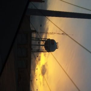 Meet your Posher, Oli